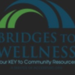 Bridges 